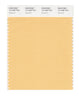 Pantone SMART Color Swatch 13-1030 TCX Sunburst
