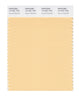 Pantone SMART Color Swatch 13-1031 TCX Apricot Sherbet