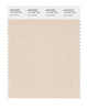 Pantone SMART Color Swatch 13-1106 TCX Sand Dollar