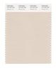 Pantone SMART Color Swatch 13-1107 TCX Whisper Pink