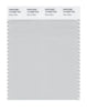 Pantone SMART Color Swatch 13-4303 TCX Dawn Blue