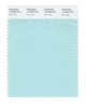 Pantone SMART Color Swatch 13-4909 TCX Blue Light