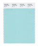 Pantone SMART Color Swatch 13-4910 TCX Blue Tint