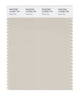 Pantone SMART Color Swatch 13-5304 TCX Rainy Day