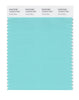 Pantone SMART Color Swatch 13-5313 TCX Aruba Blue