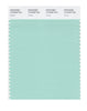 Pantone SMART Color Swatch 13-5409 TCX Yucca