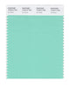 Pantone SMART Color Swatch 13-5414 TCX Ice Green