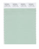 Pantone SMART Color Swatch 13-5907 TCX Gossamer Green