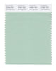 Pantone SMART Color Swatch 13-5911 TCX Bird's Egg Green
