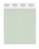 Pantone SMART Color Swatch 13-6006 TCX Almost Aqua