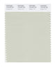 Pantone SMART Color Swatch 13-6105 TCX Celadon Tint