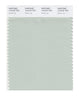 Pantone SMART Color Swatch 13-6107 TCX Green Lily