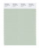 Pantone SMART Color Swatch 13-6108 TCX Celadon