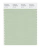 Pantone SMART Color Swatch 13-6208 TCX Bok Choy