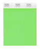 Pantone Nylon Brights Color Swatch 13-0340 TN Green Gecko