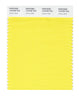 Pantone SMART Color Swatch 13-0756 TCX Lemon Zest