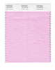 Pantone Nylon Brights Color Swatch 13-2120 TN Cotton Candy