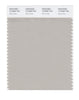 Pantone SMART Color Swatch 14-0000 TCX Silver Gray