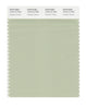 Pantone SMART Color Swatch 14-0114 TCX Celadon Green