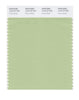 Pantone SMART Color Swatch 14-0115 TCX Foam Green
