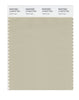 Pantone SMART Color Swatch 14-0210 TCX Tidal Foam