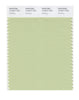 Pantone SMART Color Swatch 14-0217 TCX Seedling