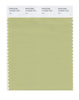 Pantone SMART Color Swatch 14-0223 TCX Nile