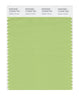 Pantone SMART Color Swatch 14-0226 TCX Opaline Green