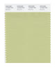 Pantone SMART Color Swatch 14-0425 TCX Beechnut