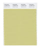 Pantone SMART Color Swatch 14-0627 TCX Shadow Green