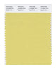Pantone SMART Color Swatch 14-0636 TCX Muted Lime
