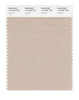 Pantone SMART Color Swatch 14-0708 TCX Cement