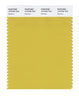 Pantone SMART Color Swatch 14-0740 TCX Bamboo