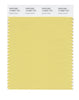 Pantone SMART Color Swatch 14-0827 TCX Dusky Citron