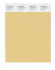Pantone SMART Color Swatch 14-0936 TCX Sahara Sun