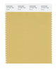 Pantone SMART Color Swatch 14-1031 TCX Rattan