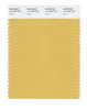 Pantone SMART Color Swatch 14-1036 TCX Ochre