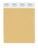 Pantone SMART Color Swatch 14-1038 TCX New Wheat