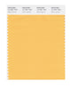 Pantone SMART Color Swatch 14-1051 TCX Warm Apricot