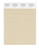 Pantone SMART Color Swatch 14-1108 TCX Wood Ash