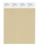 Pantone SMART Color Swatch 14-1110 TCX Boulder