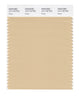 Pantone SMART Color Swatch 14-1118 TCX Beige