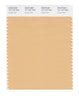 Pantone SMART Color Swatch 14-1127 TCX Desert Mist