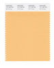 Pantone SMART Color Swatch 14-1128 TCX Buff Orange