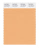Pantone SMART Color Swatch 14-1133 TCX Apricot Nectar