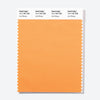 Pantone Polyester Swatch Card 14-1140 TSX Iced Mango