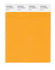 Pantone SMART Color Swatch 14-1159 TCX Zinnia