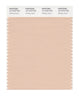 Pantone SMART Color Swatch 14-1210 TCX Shifting Sand