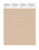 Pantone SMART Color Swatch Card 14-1212 TCX (Frappé)