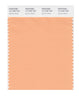 Pantone SMART Color Swatch 14-1230 TCX Apricot Wash
